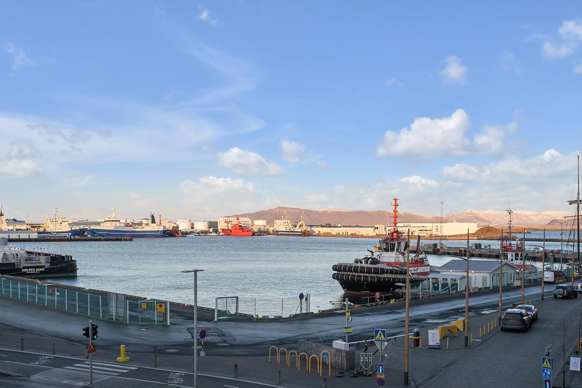 Sunny Central Reykjavik Apartment - Harbour View Zewnętrze zdjęcie